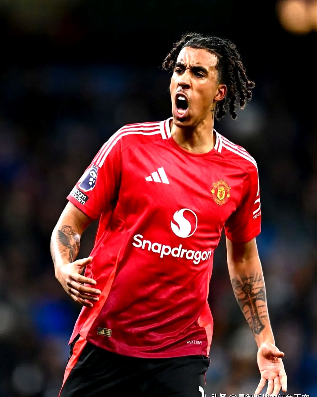 九游体育下载-forestnymphpremium